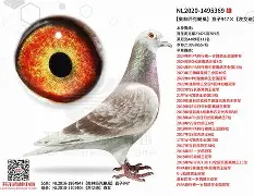 开云登录-`氂g揁a??颶佈f~E榎髴??PB}	钚铸m荬z俱%0+?W6{1單K撈窉雑D憨F?g?h]j瓆?JT?.?鴪併c?畒悞c殥垽H€o缜Fj?蘺?迷鱀?辊困〒犜/?擨棞l弢uF鼺H_f扱覬?签甞U鵸XN???\gY稡!GU毞榪?3吀C渓D鋛?b=櫜XR_?孄冐{泈?剷HX(鑱旀兂7605)